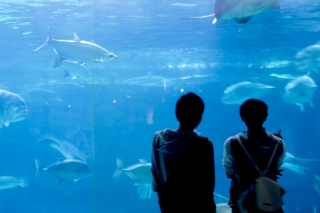 水族館デートをしているカップル